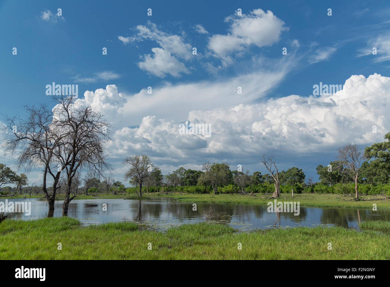 Wolkenteich Fotos und Bildmaterial in hoher Auflösung Alamy