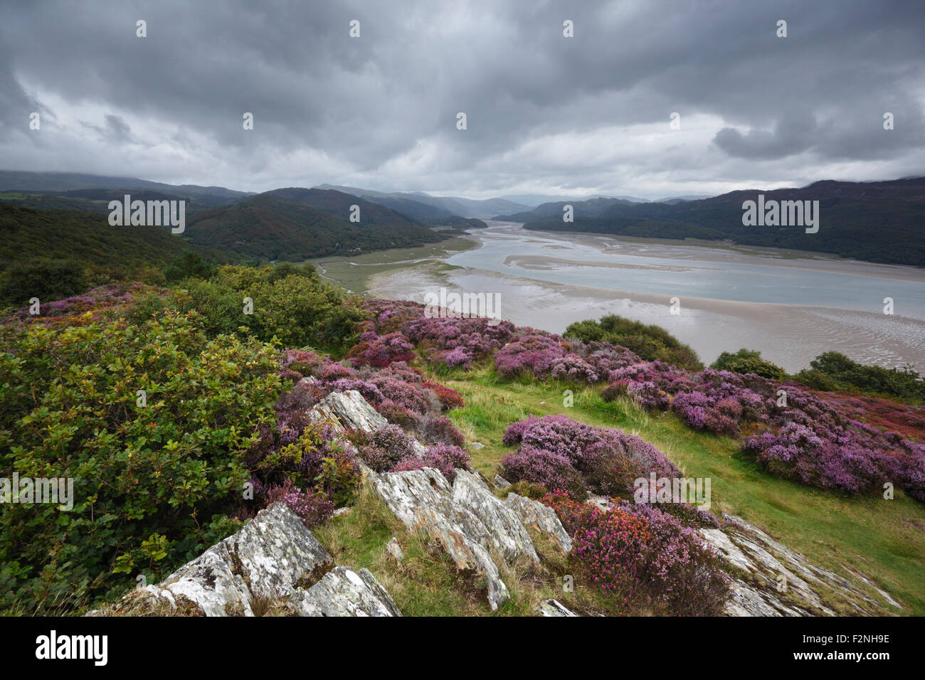 Die Mawddach Mündung von der Panorama-Wanderung. Snowdonia-Nationalpark. Gwynedd. Wales. VEREINIGTES KÖNIGREICH. Stockfoto