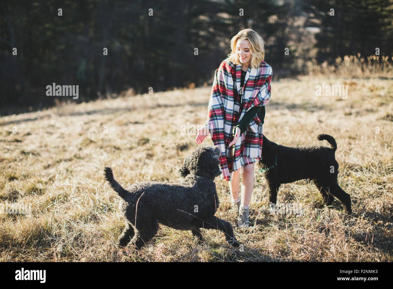 Kaukasische Frau spielt mit Hunden im ländlichen Bereich Stockfoto