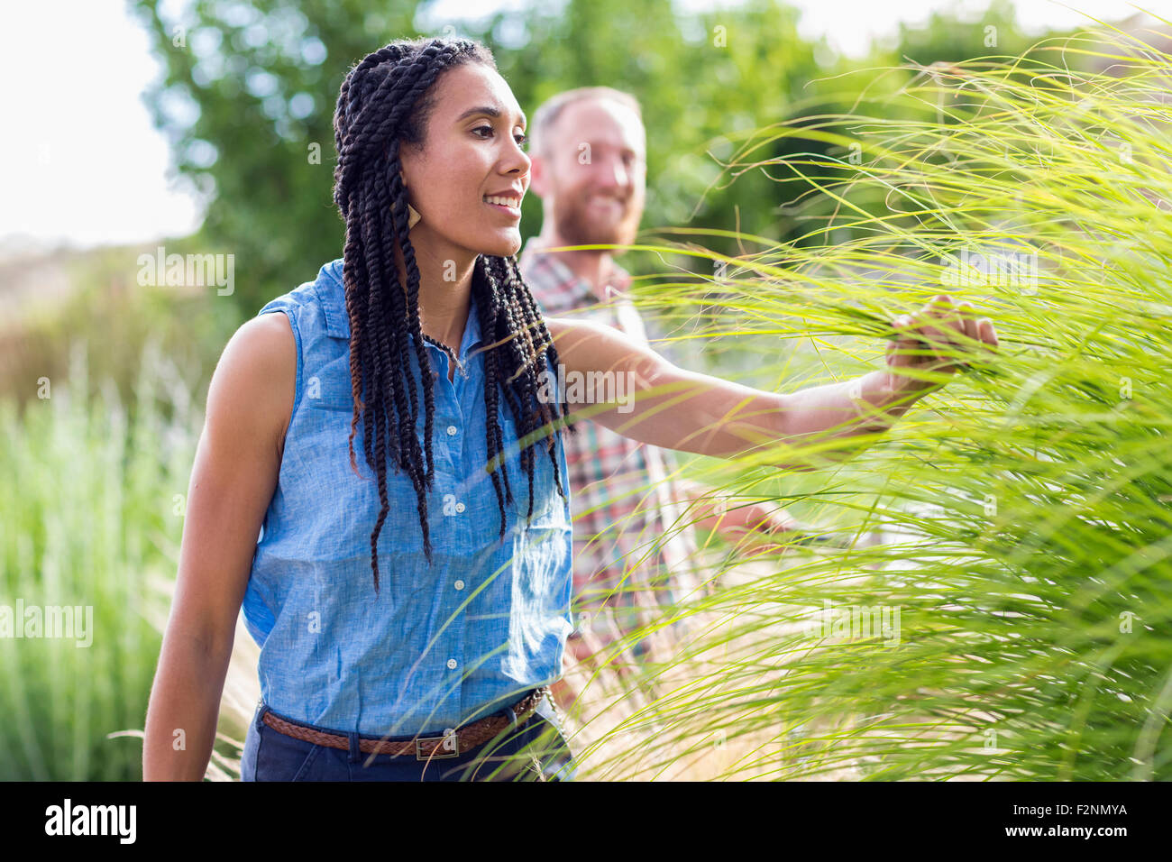 Frau, Prüfung von hohen Pflanzen im Garten Stockfoto