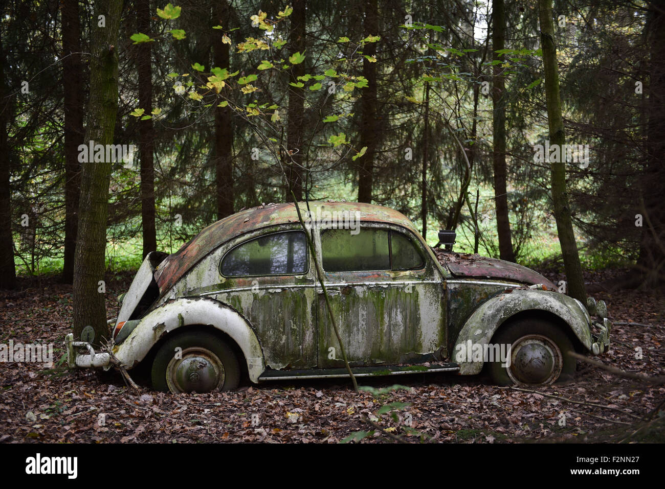 (Datei) Ein rostigen VW Käfer verwandelte sich in ein Kunst-Projekt wird am 28. Oktober 2014 in Fuldatal-Simmershausen gesehen. Nach Angaben des Eigentümers ist dies eines der ersten Autos, wechselnde Besitzer aus der DDR nach Westdeutschland kurz nach dem Fall der Mauer im Jahr 1989. Stockfoto