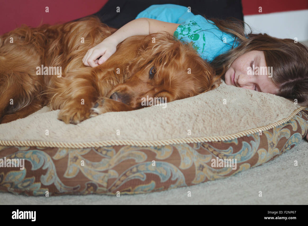 Kaukasische Mädchen kuscheln Hund auf Kissen Stockfoto
