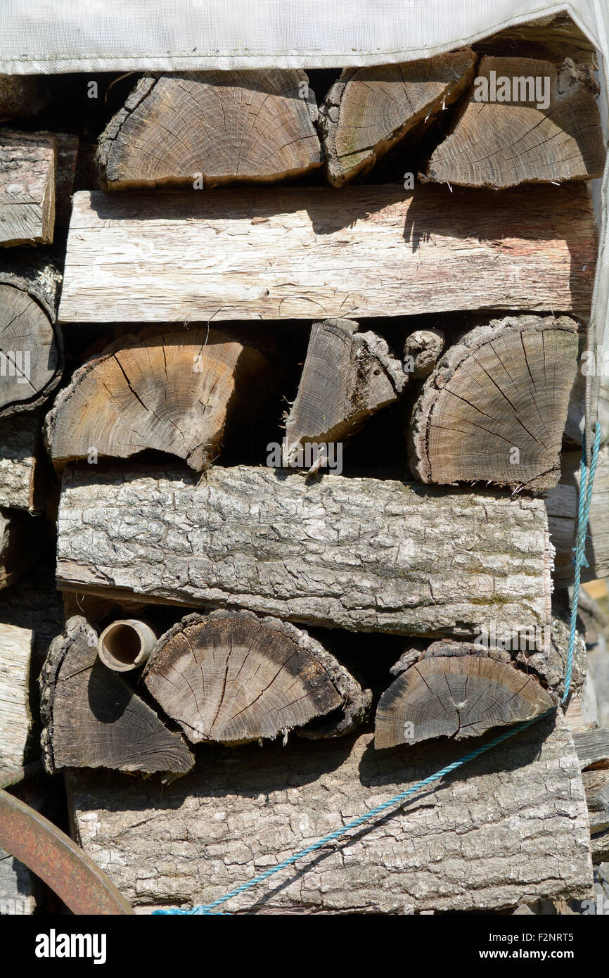 Stapel Brennholz für den Winter draußen Eigenschaft im französischen Landschaft hoch aufgetürmt Stockfoto