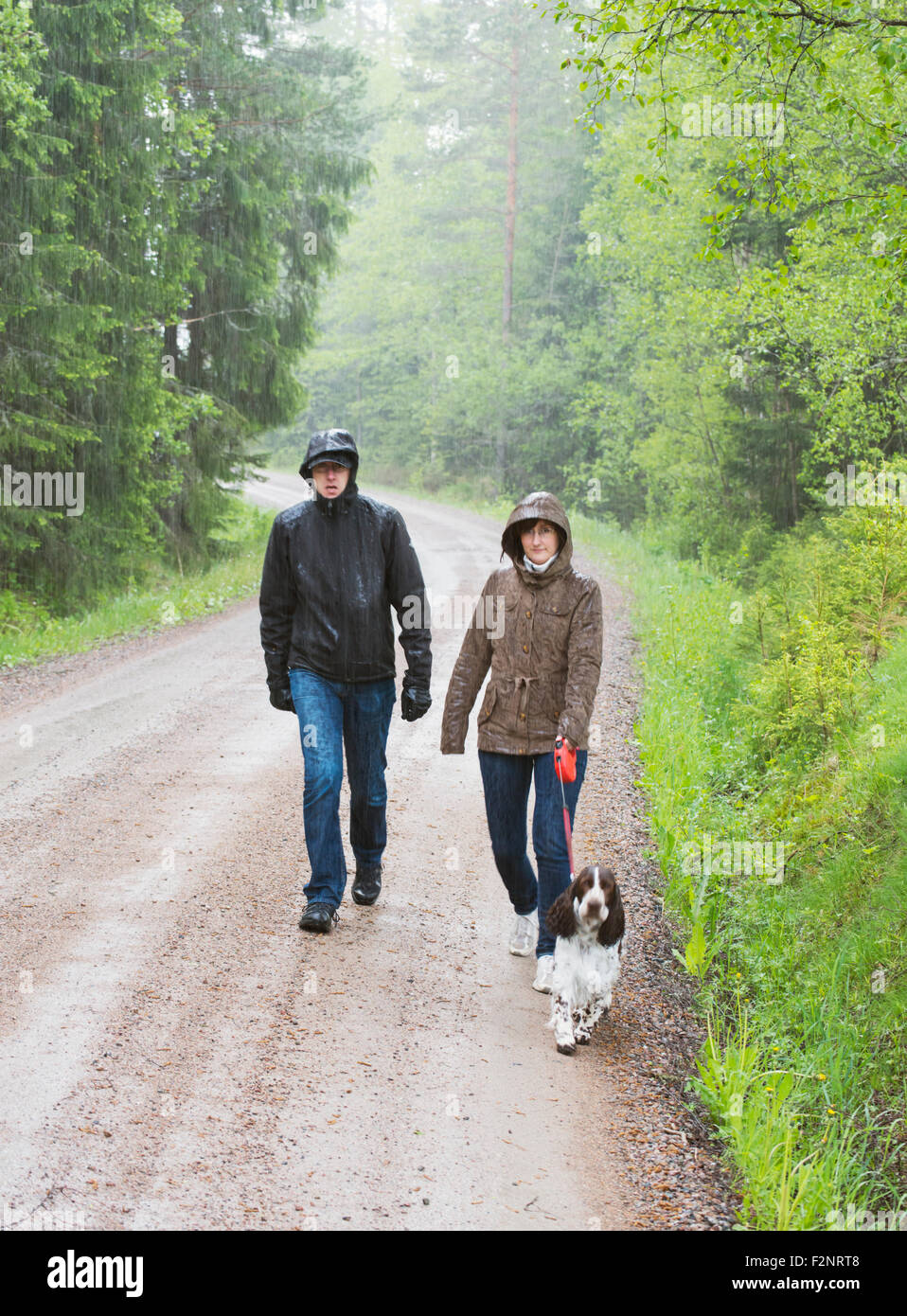 Wandern in den Regen Stockfoto