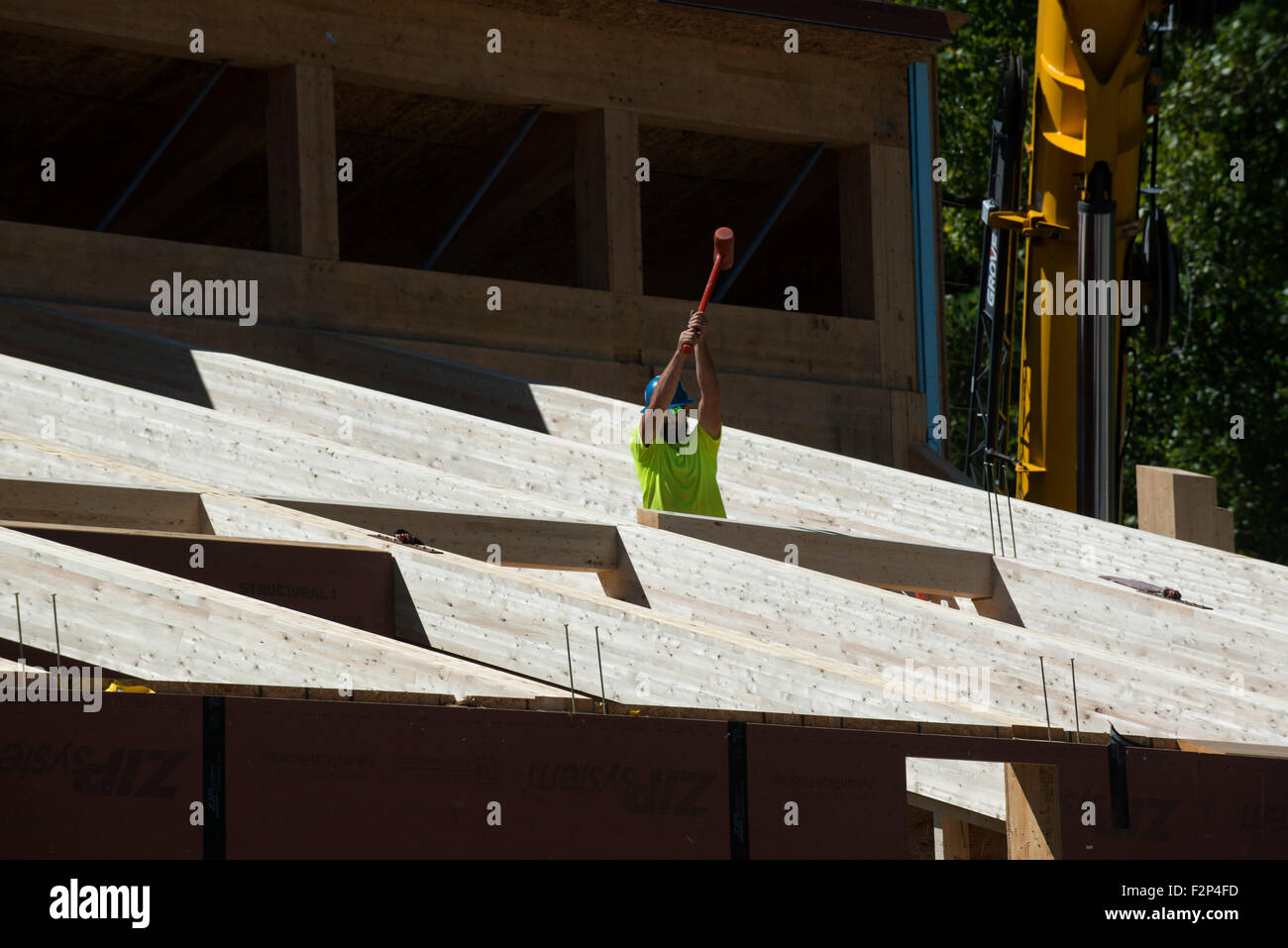 Tischler verwendet Kautschuk Schlitten, um Dachsparren in Leed Platin Common Ground High School Gebäude zu installieren. Stockfoto