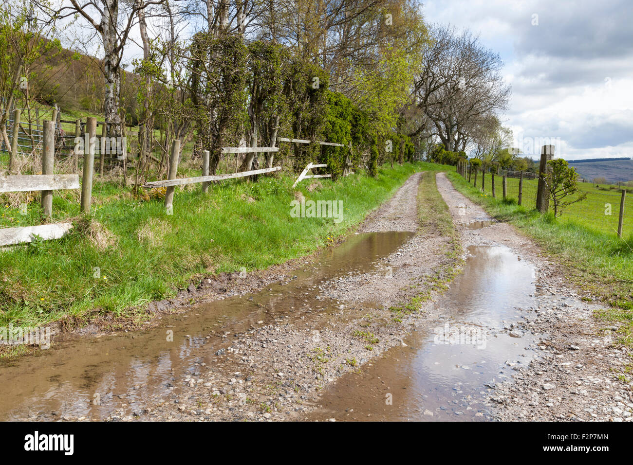 Nasses Wetter in der Landschaft. Feldweg oder Lane mit Pfützen nach Regen, Derbyshire, England, Großbritannien Stockfoto