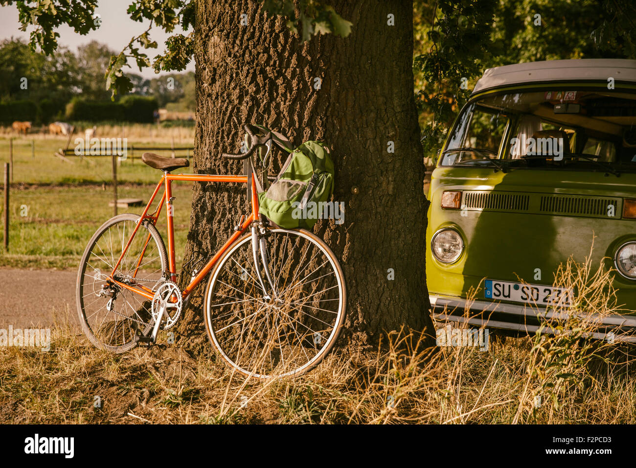 Van und Rennrad in der Natur Stockfoto