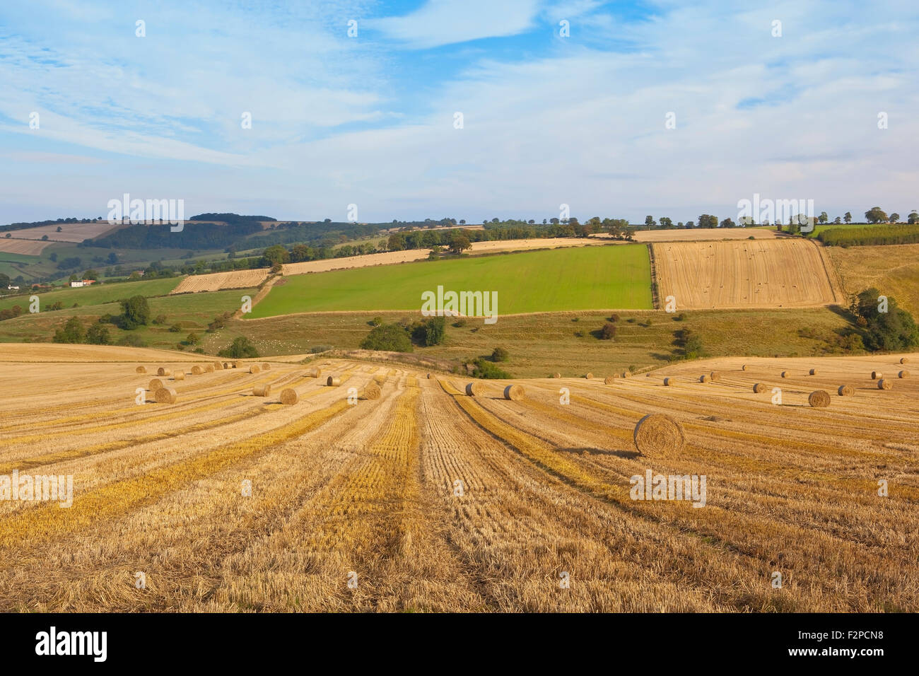 Rundballen Stroh und goldenen Stoppeln in der Patchwork-Landschaft der Yorkshire Wolds im September. Stockfoto