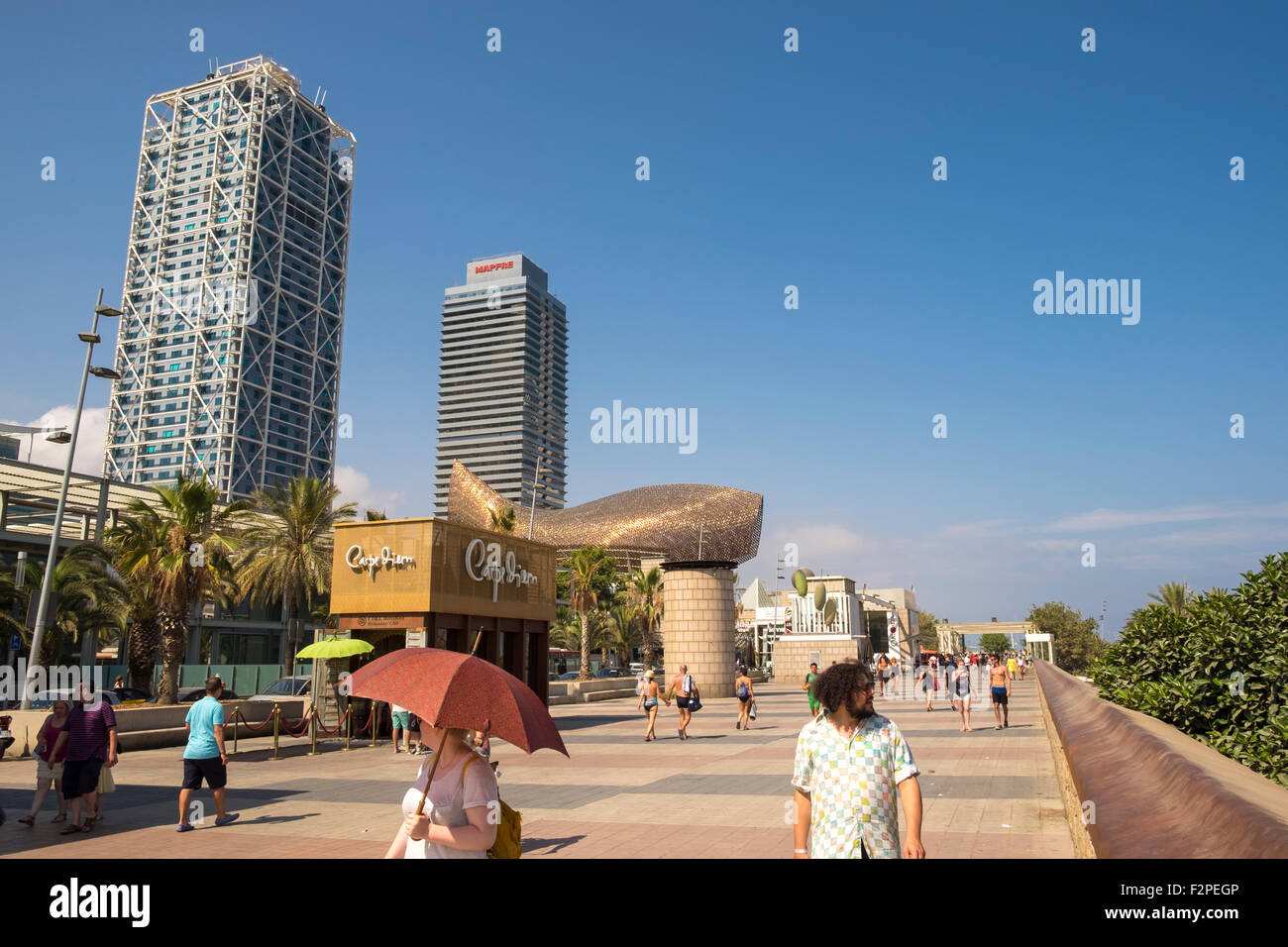 Peix Fisch Skulptur von Frank O Gehry am Port Olímpic, Barcelona, Katalonien, Spanien. Stockfoto