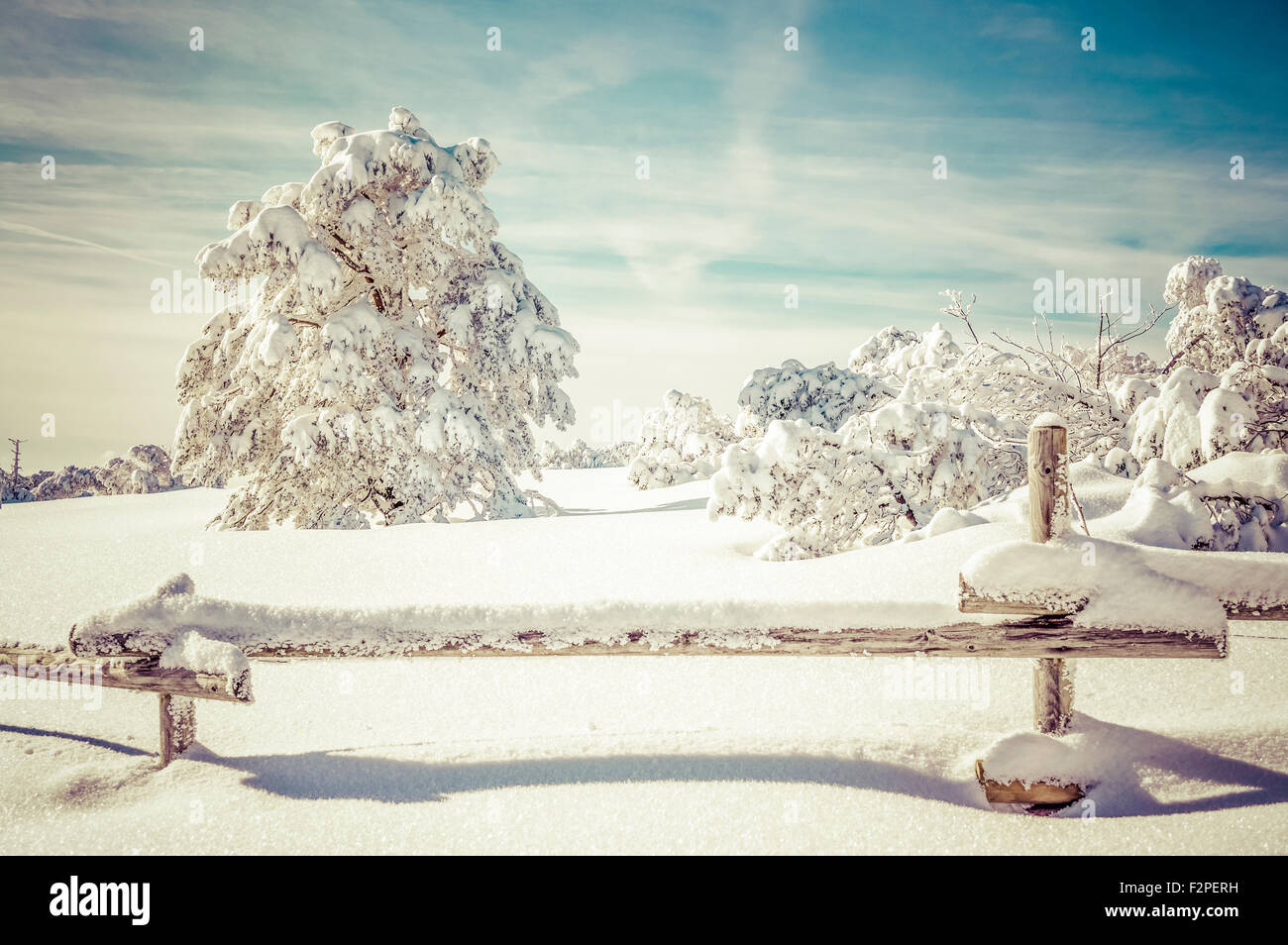 Deutschland, Baden-Württemberg, Schwarzwald, Schliffkopf, verschneite Landschaft Stockfoto