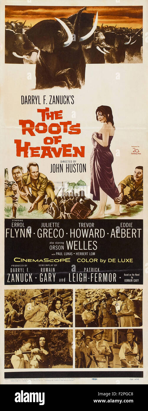 Die wurzeln des himmels Fotos und Bildmaterial in hoher Auflösung Alamy