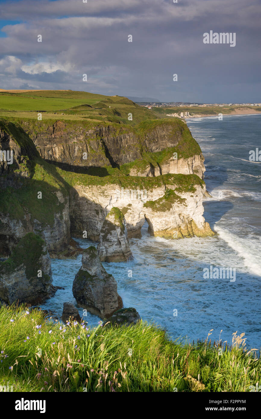 Morgen Blick Richtung Portrush entlang der nördlichen Küste des County Antrim, Nordirland, Großbritannien Stockfoto