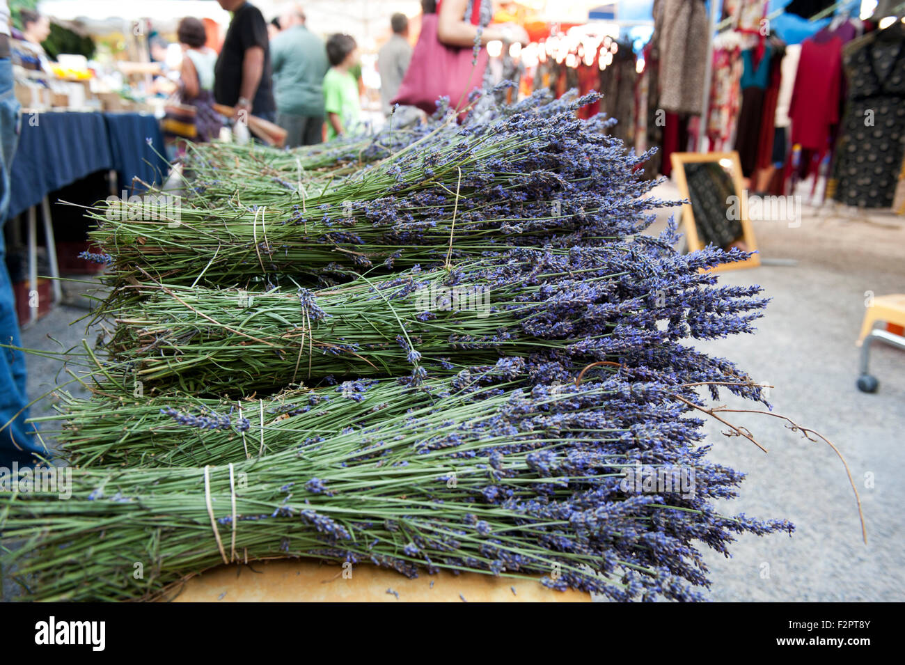 Lavende am Marktstand in Provence Frankreich Europa Stockfoto