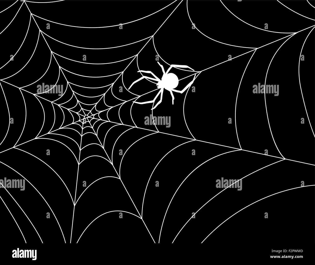 Cobweb mit einer Spinne in der Mitte gegen die Nacht. Vektor-Illustration. Stock Vektor