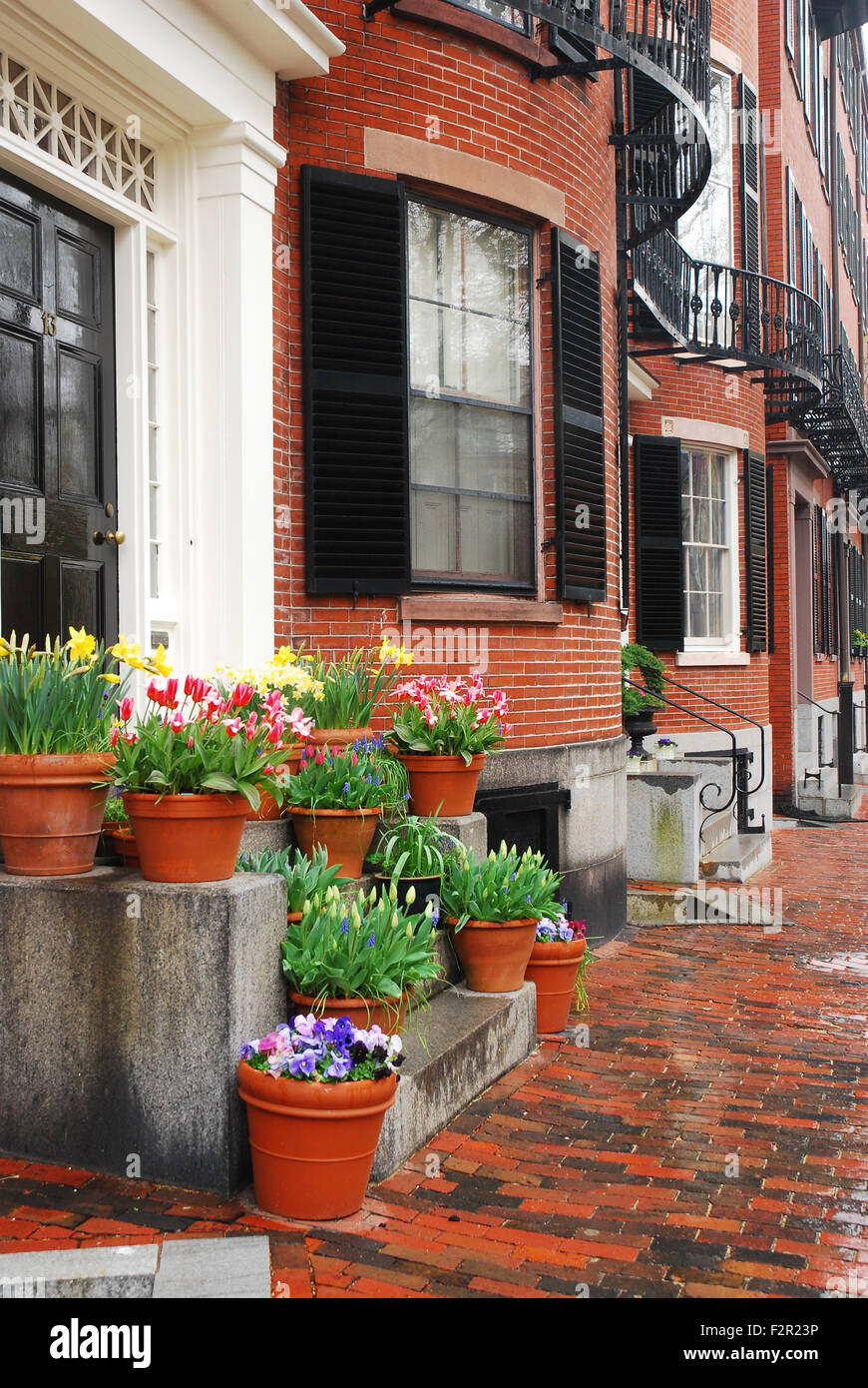 Frühlingsblumen blühen im Bostoner historischen Viertel Back Bay Stockfoto