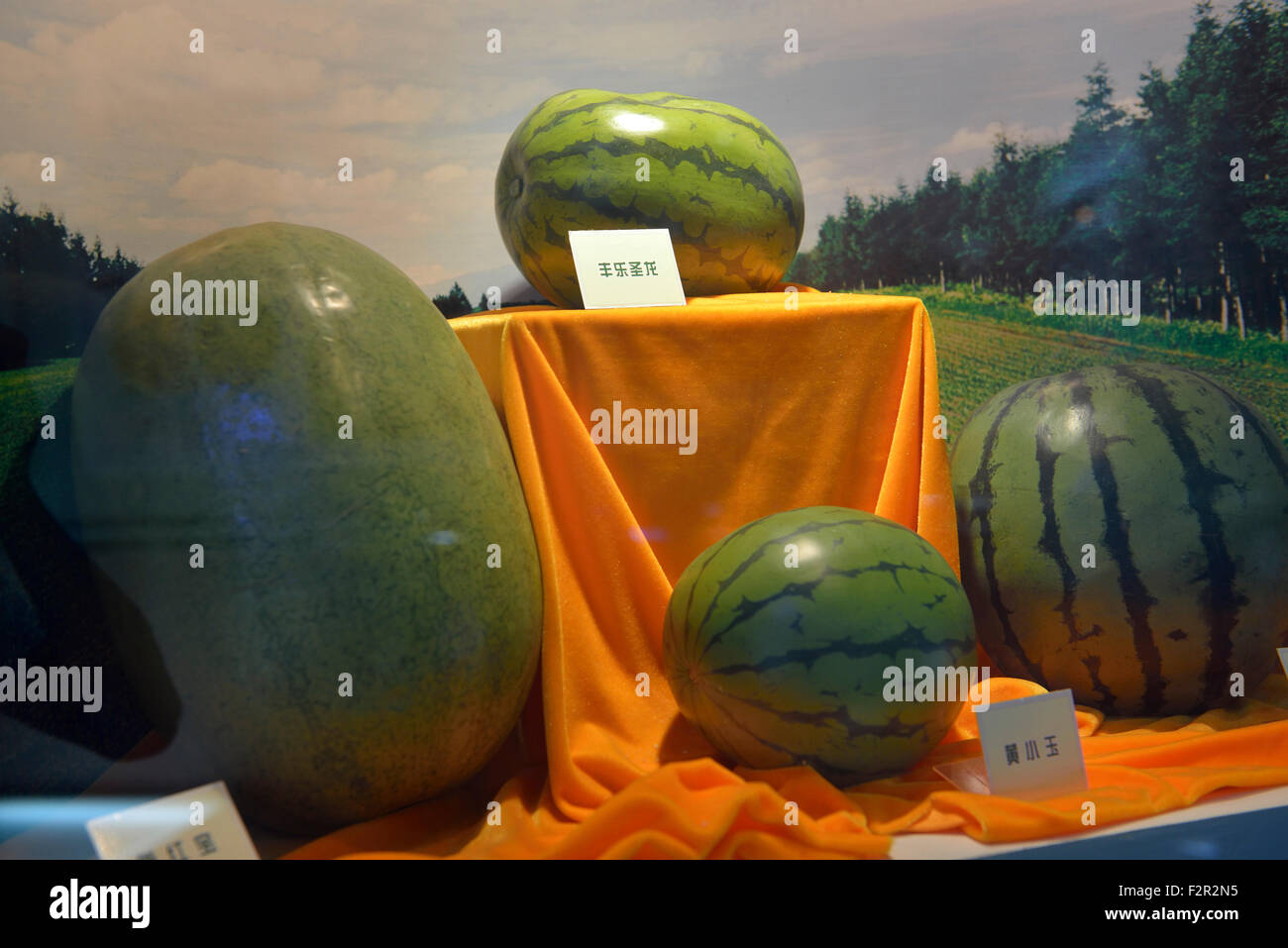 Wassermelone-Museum in Panggezhuang, Daxing District, Beijing, China. 22 Sep 2015 Stockfoto