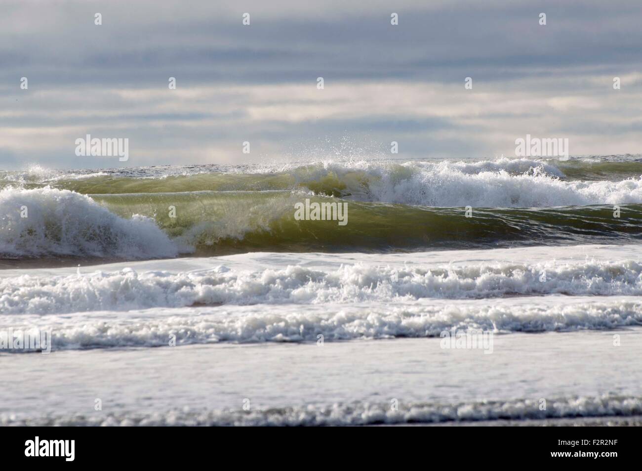 Green Ocean Wave am Pazifischen Ozean fotografiert in Ocean Shores, WA, USA. Stockfoto
