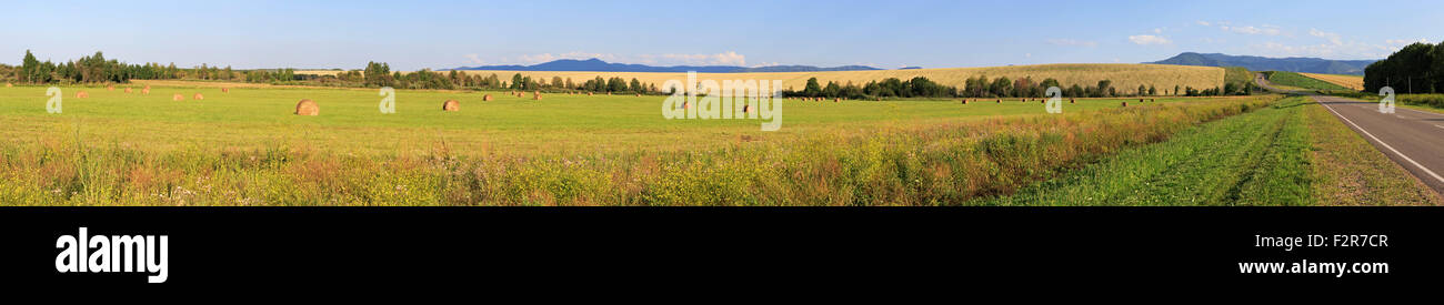 Schönes Panorama der schrägen Feldern und Heuschober. Stockfoto