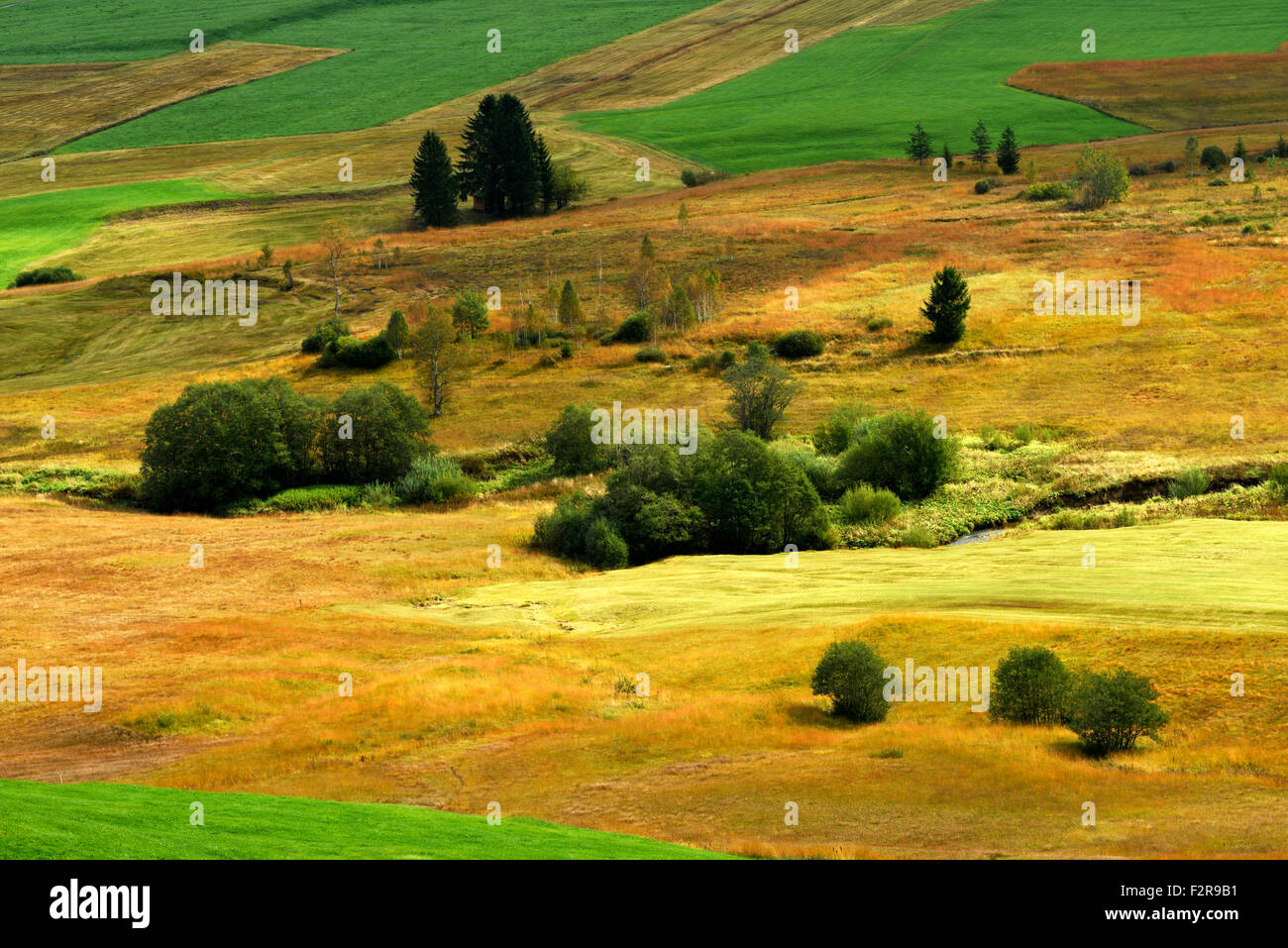 Upland moor Rothenthurm, Kanton Schwyz, Schweiz Stockfoto