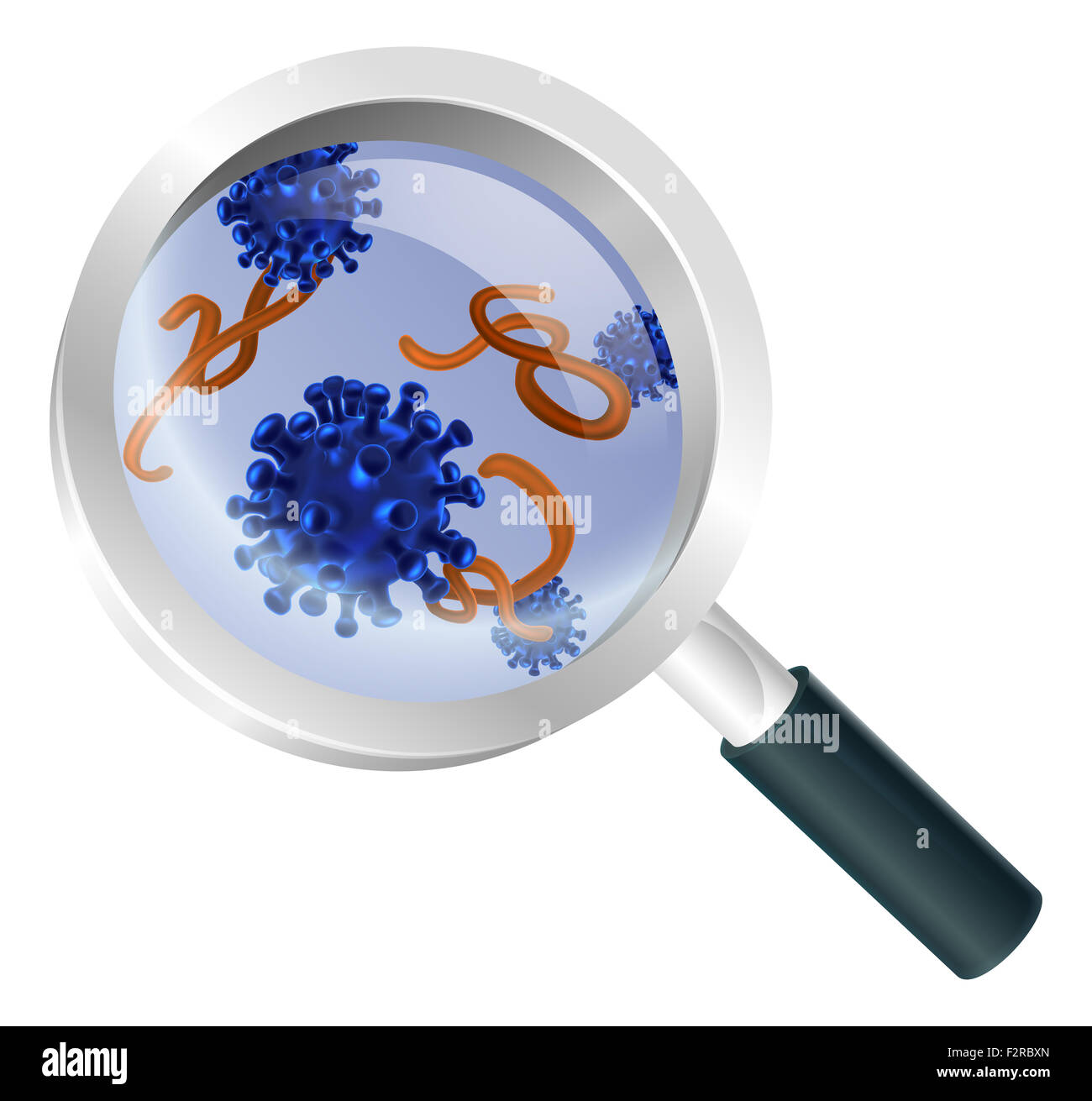 Lupe Bakterien Virus Konzept einer Lupe Zoomen auf Viren oder Bakterien Zellen Stockfoto