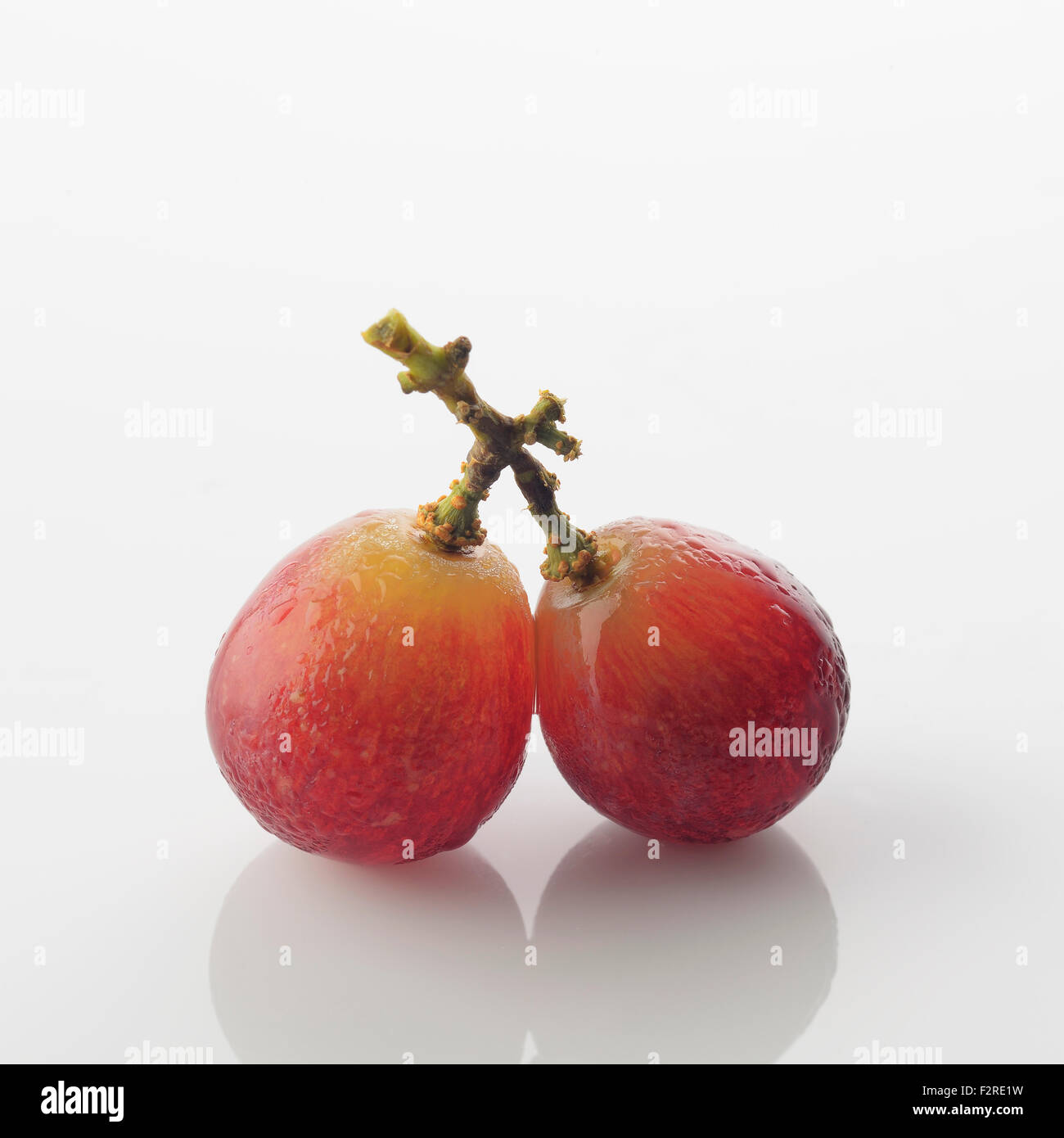 Rote Trauben auf weißem Hintergrund Stockfoto