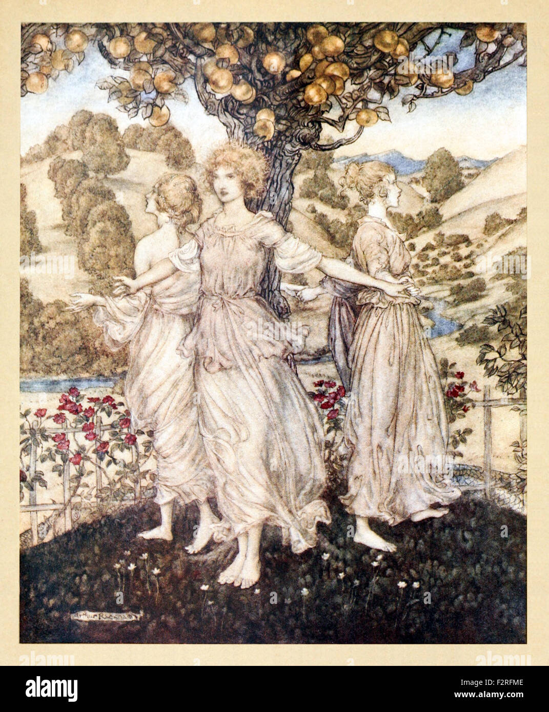 Apples Of The Hesperides Stockfotos und bilder Kaufen Alamy