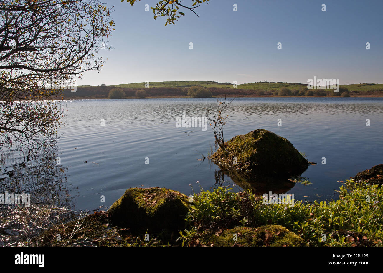 Ruhigen See Szene in Mid-Wales Stockfoto