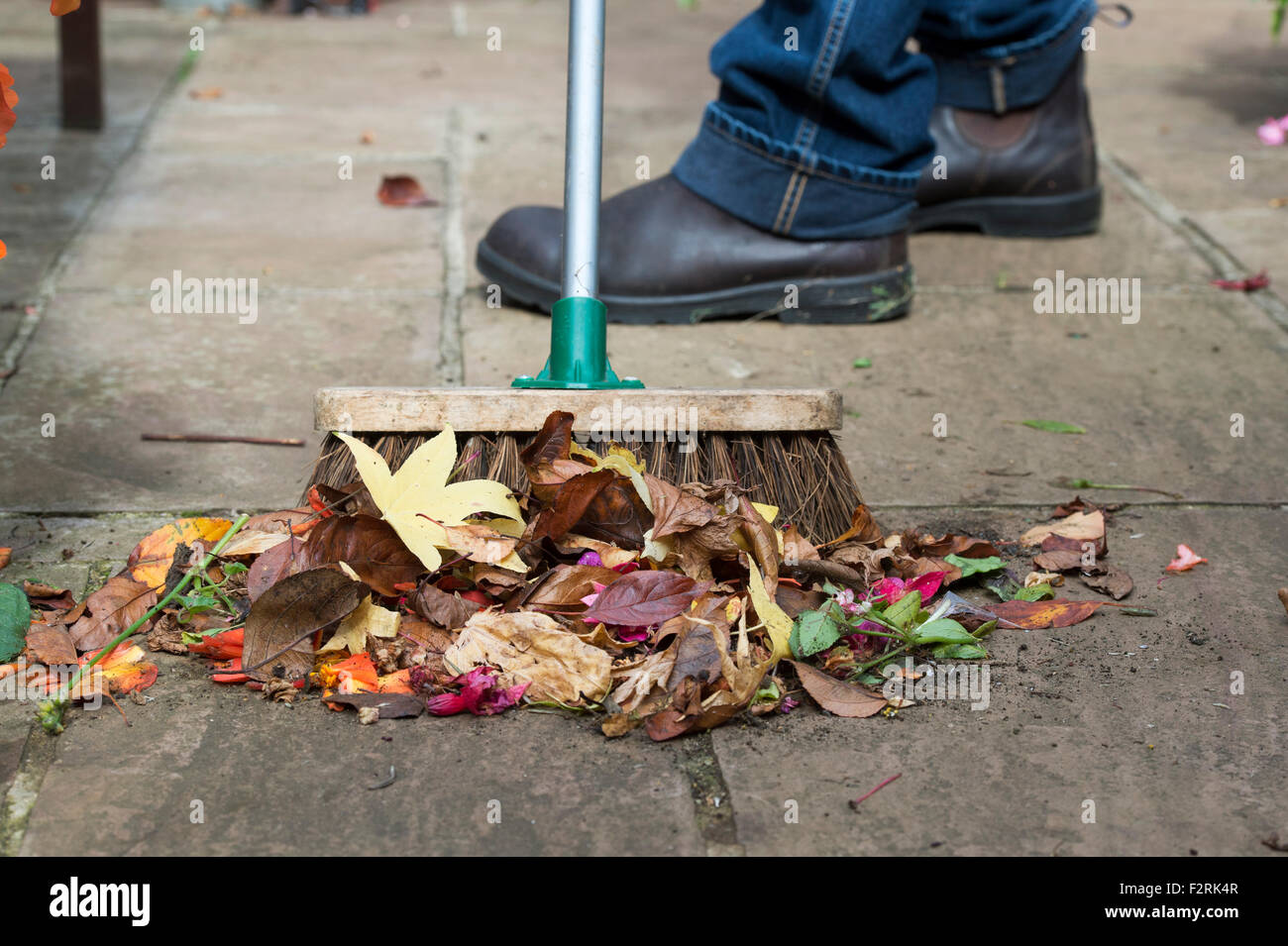 Geschwungene Gärtner Herbst verbrachte Blüten und Blätter auf einen Gartenweg Stockfoto