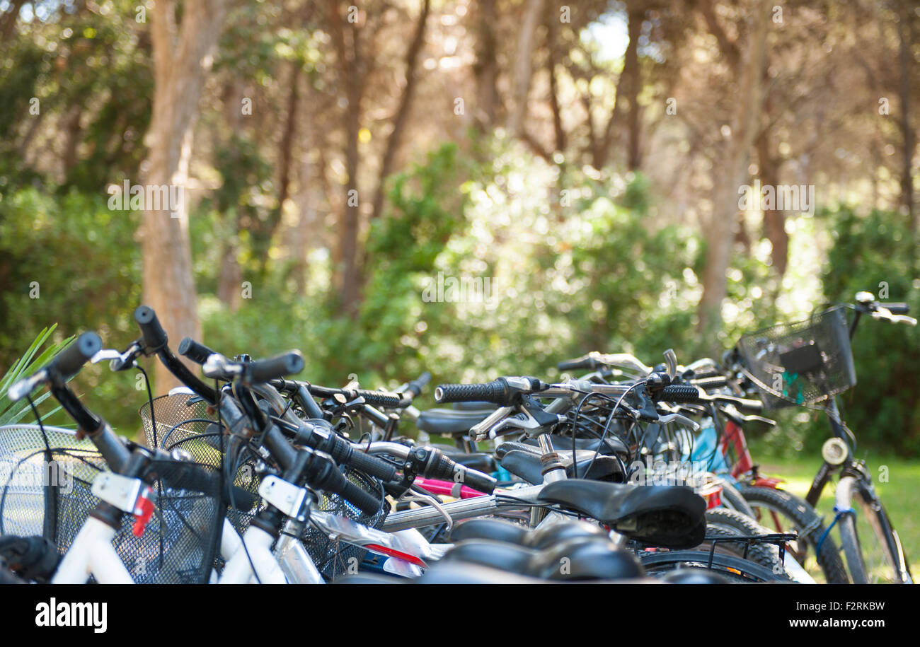 Gruppe von Fahrrädern mit grünen Garten im Hintergrund, selektiven Fokus Stockfoto