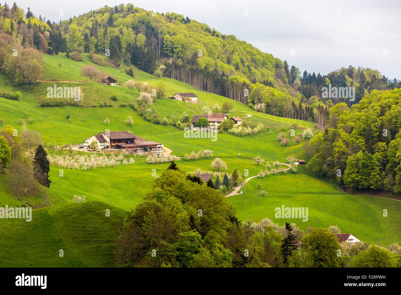 Landschaft in der Nähe von Eptingen, Kanton Basel-Landschaft, Schweiz. Stockfoto