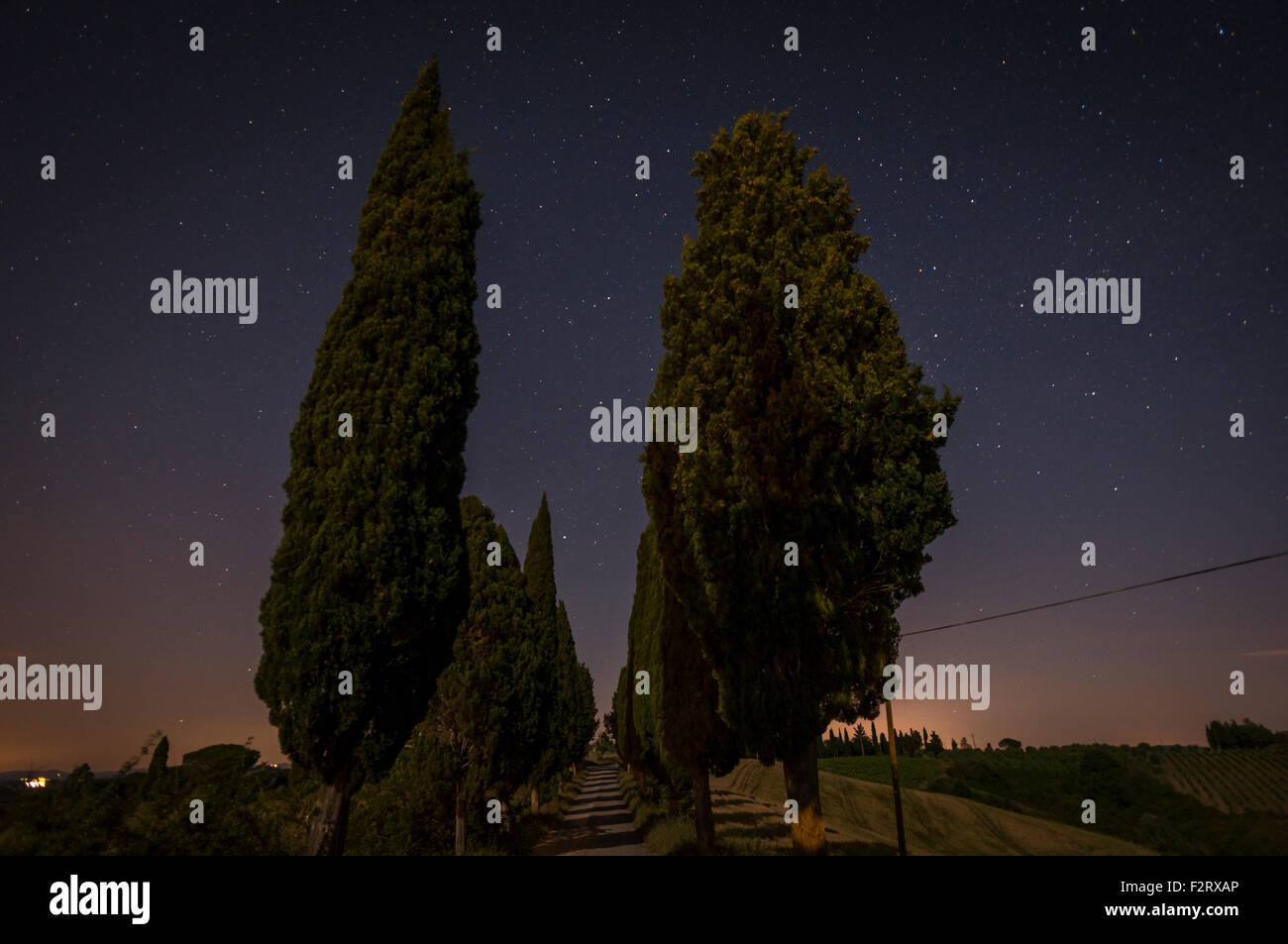 Toskana Italien in der Dämmerung mit Zypressen im Vordergrund Stockfoto