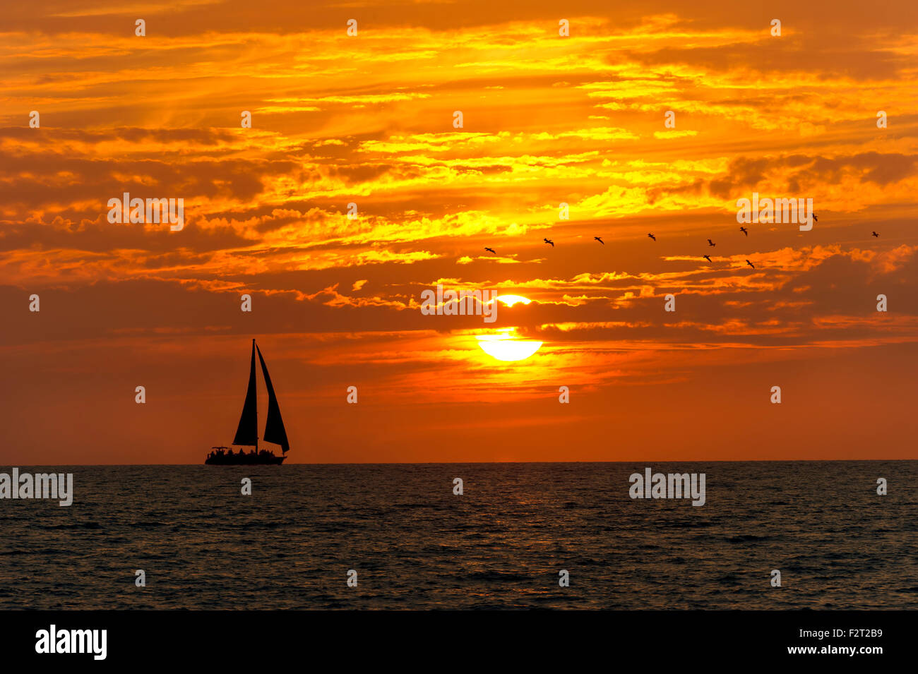 Wasser als ein Schwarm Vögel fliegen gegen einen bunten lebhaften orangefarbenen und gelben Wolkengebilde Sonnenuntergang. Stockfoto