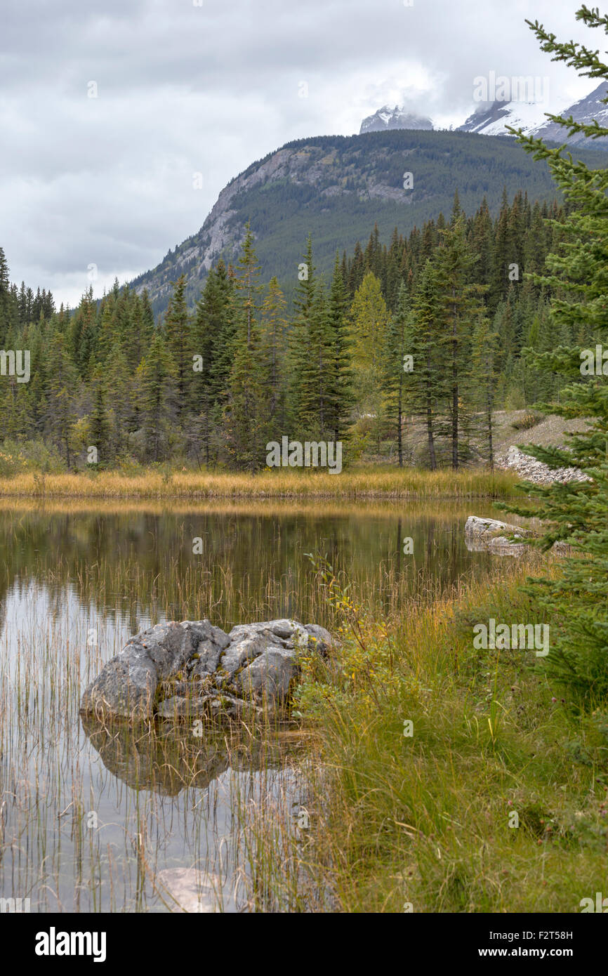 Ruhige Stimmung und malerischen Reflexionen in der Nähe von Rampart Creek, Banff Nationalpark, Rocky Mountains, Alberta, Kanada, Nordamerika. Stockfoto