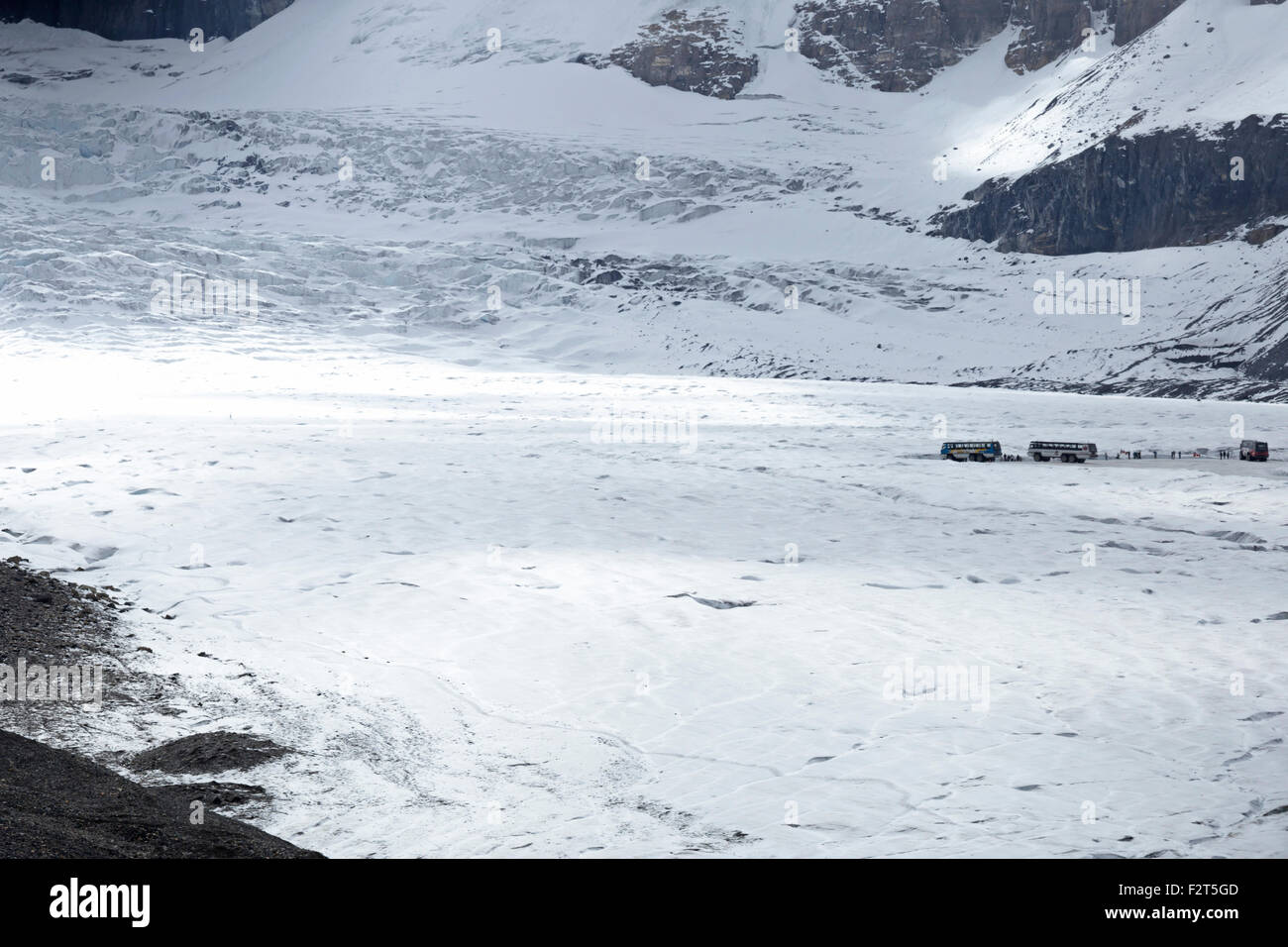 Brewster Schnee Trainer Transport von Touristen auf dem Athabasca-Gletscher, in den Rocky Mountains, Alberta, Kanada, Nordamerika. Stockfoto