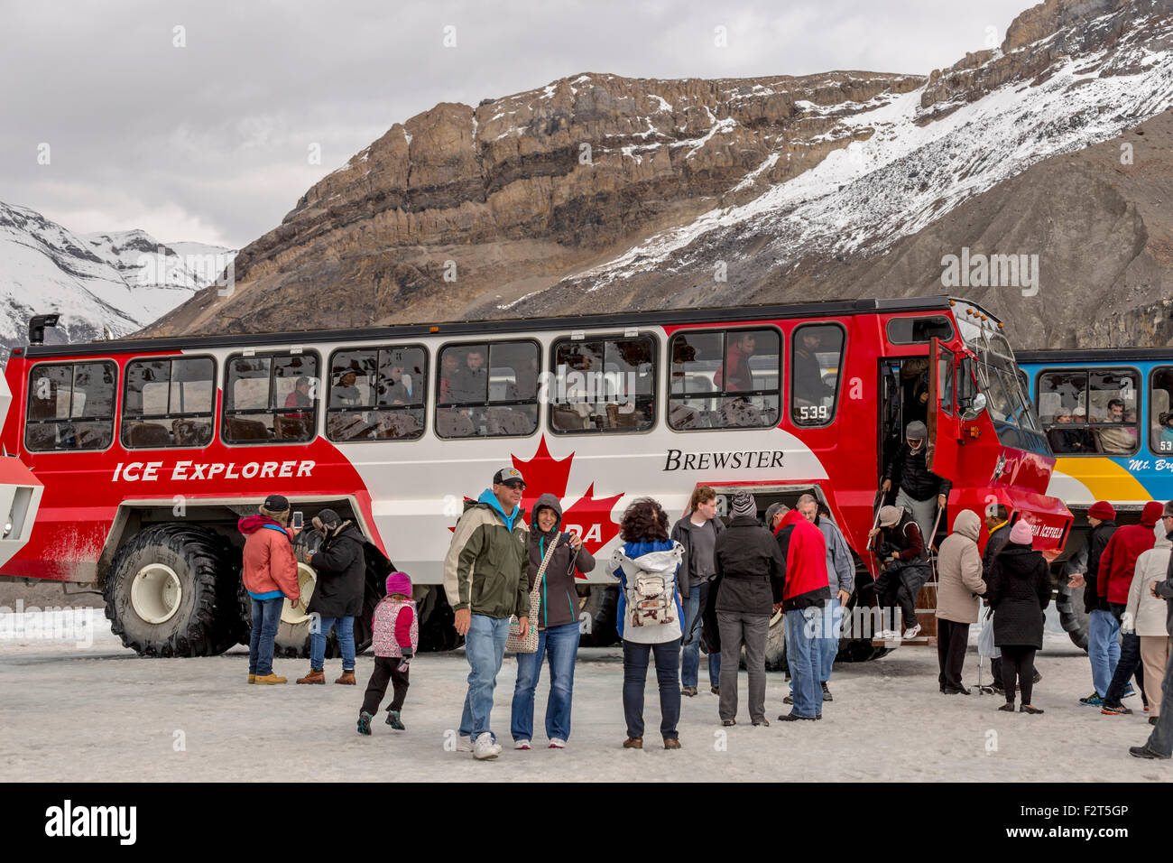 Touristen, die immer aus einem Brewster Schnee Trainer auf dem Athabasca-Gletscher, in den Rocky Mountains, Alberta, Kanada, Nordamerika. Stockfoto