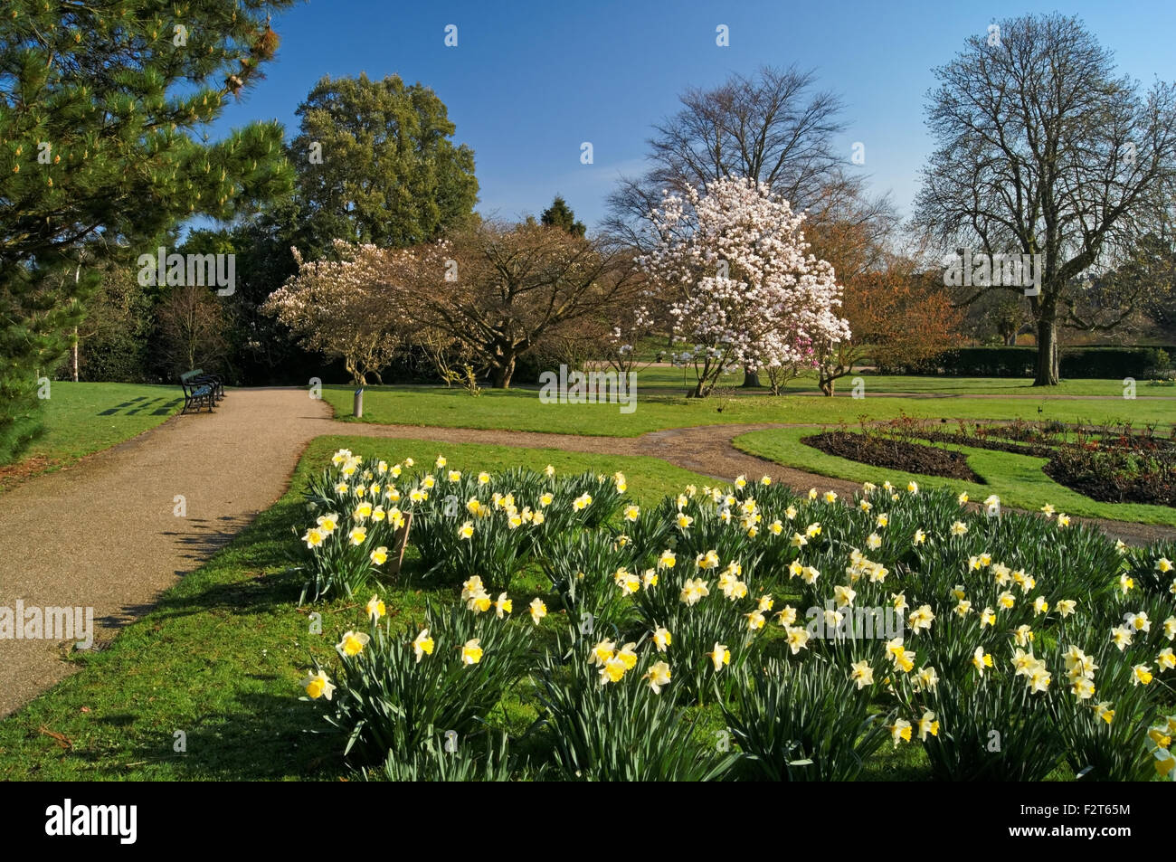 UK, South Yorkshire, Sheffield, Botanischer Garten Stockfoto