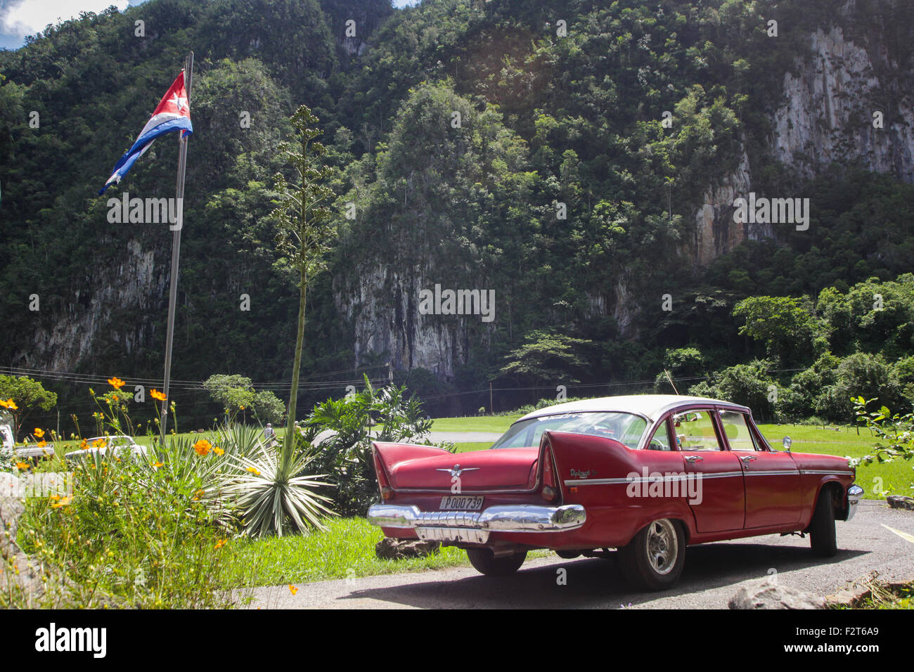 Oldtimer, Vinales, Kuba Stockfoto