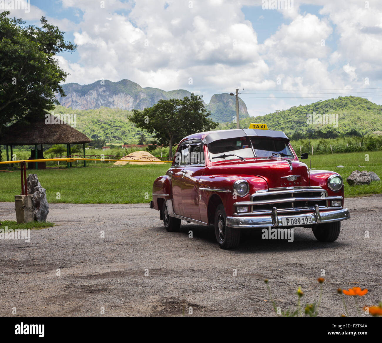 Oldtimer, Vinales, Kuba Stockfoto