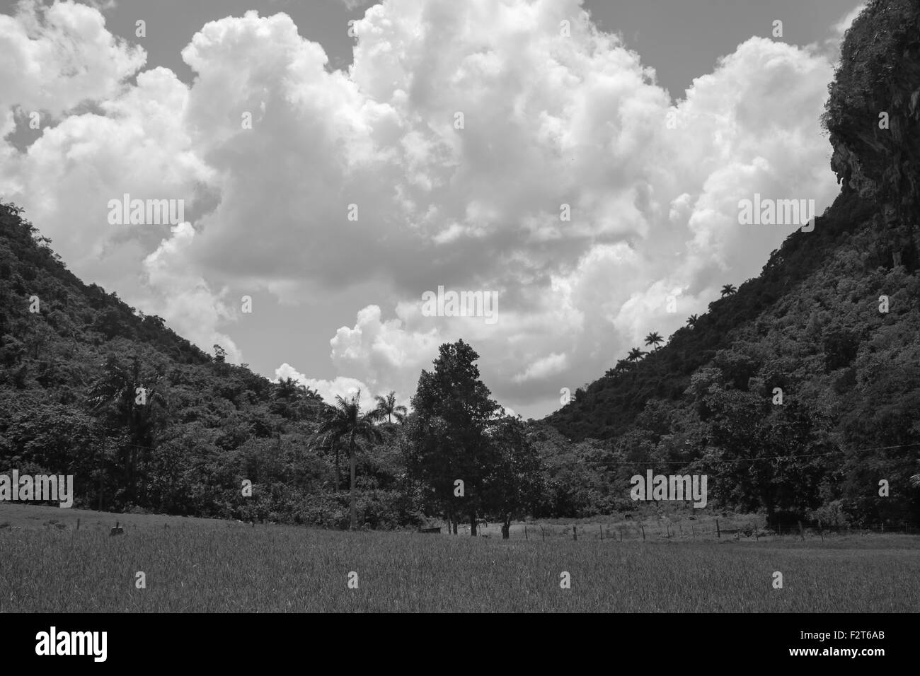 Landschaft, Vinales, Kuba Stockfoto