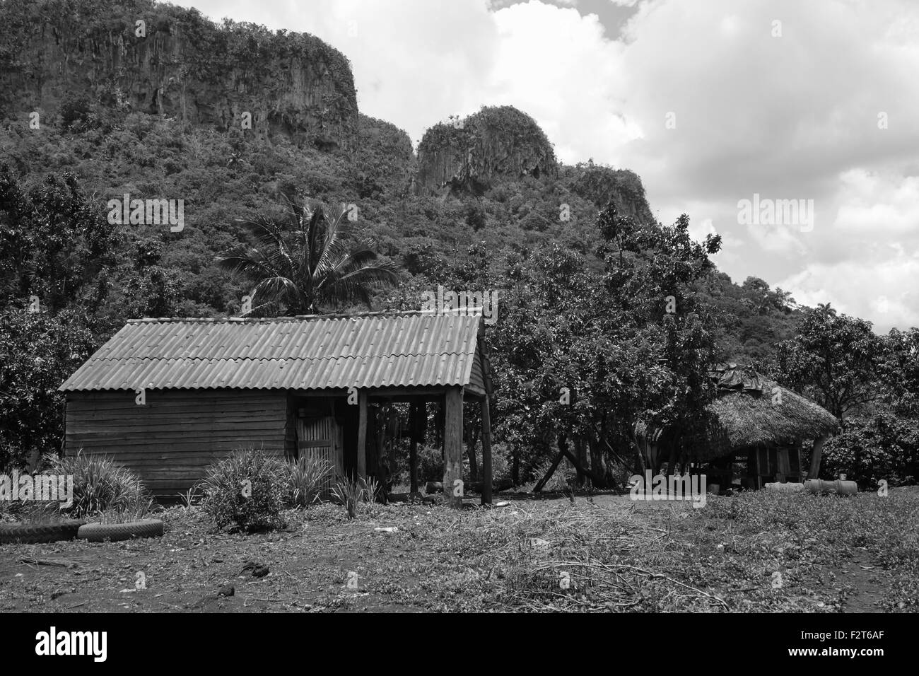 Haus auf Tabak Farm, Vinales, Kuba Stockfoto