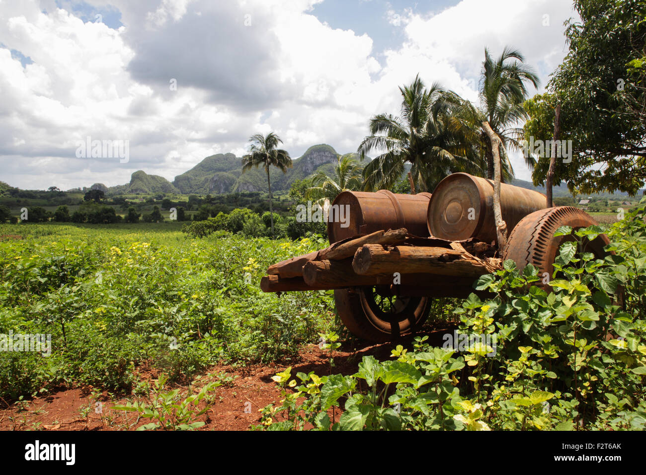 Tabak-Land, Vinales, Kuba Stockfoto