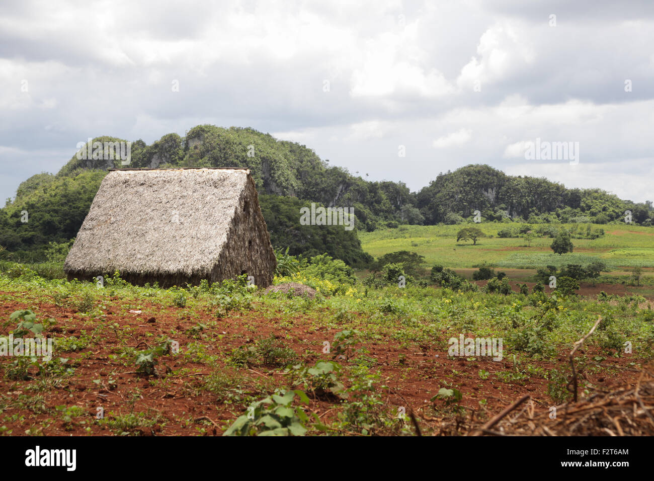 Bauernhof im Tal von Vinales, Kuba Stockfoto