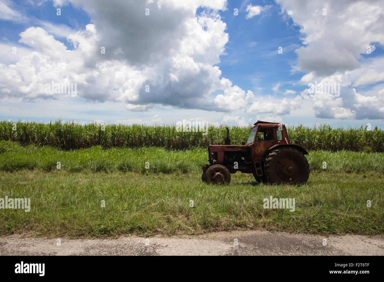 Traktor und Zuckerrohr Feld, Matazas Kuba Stockfoto