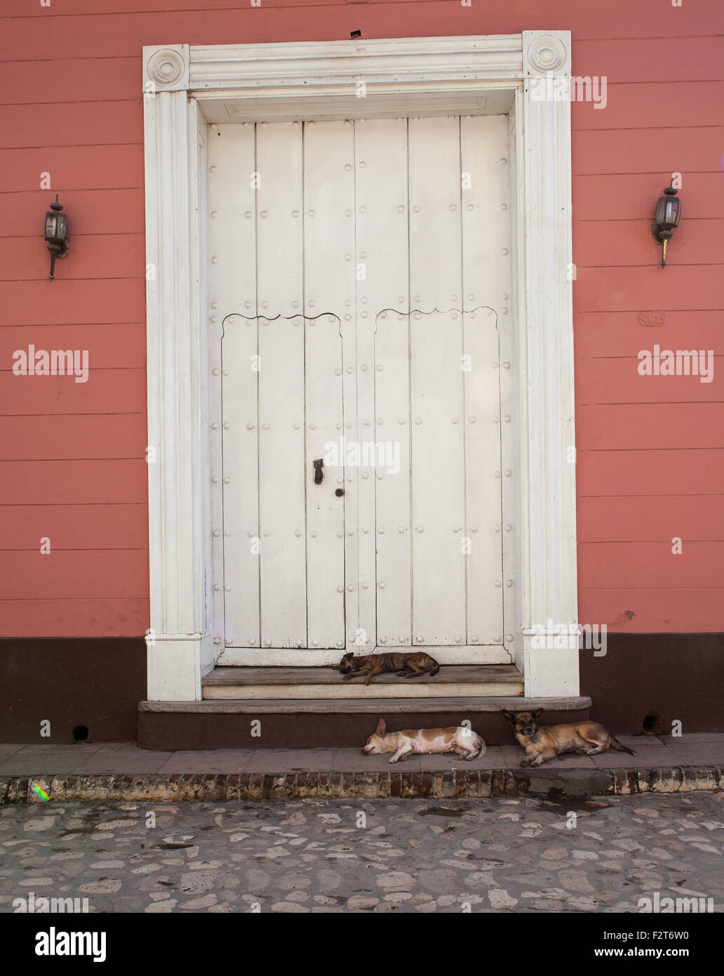 Straßenhunde Nickerchen, Trinidad Kuba Stockfoto