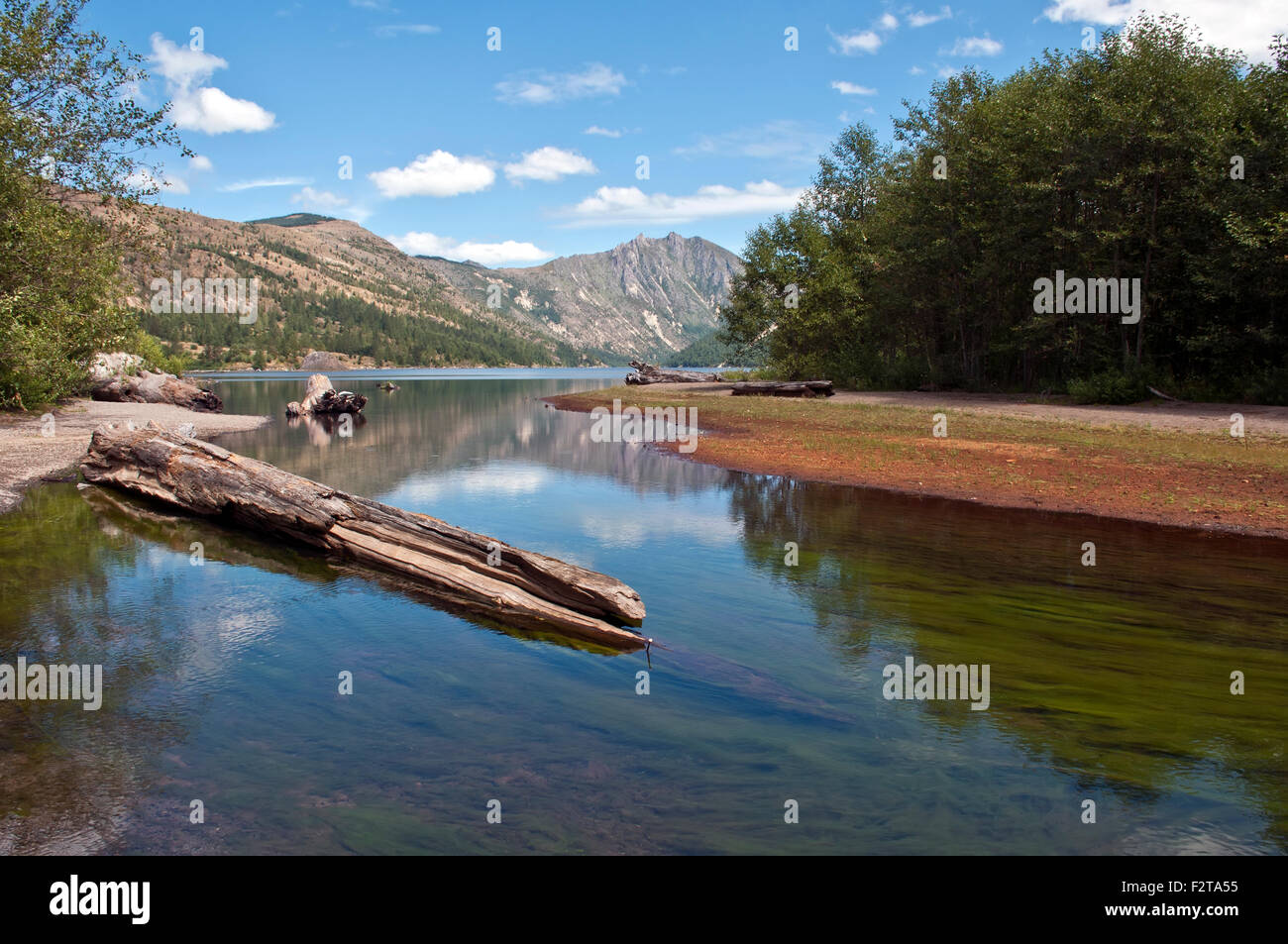 Coldwater Lake in St Helens volcanic monument Stockfoto