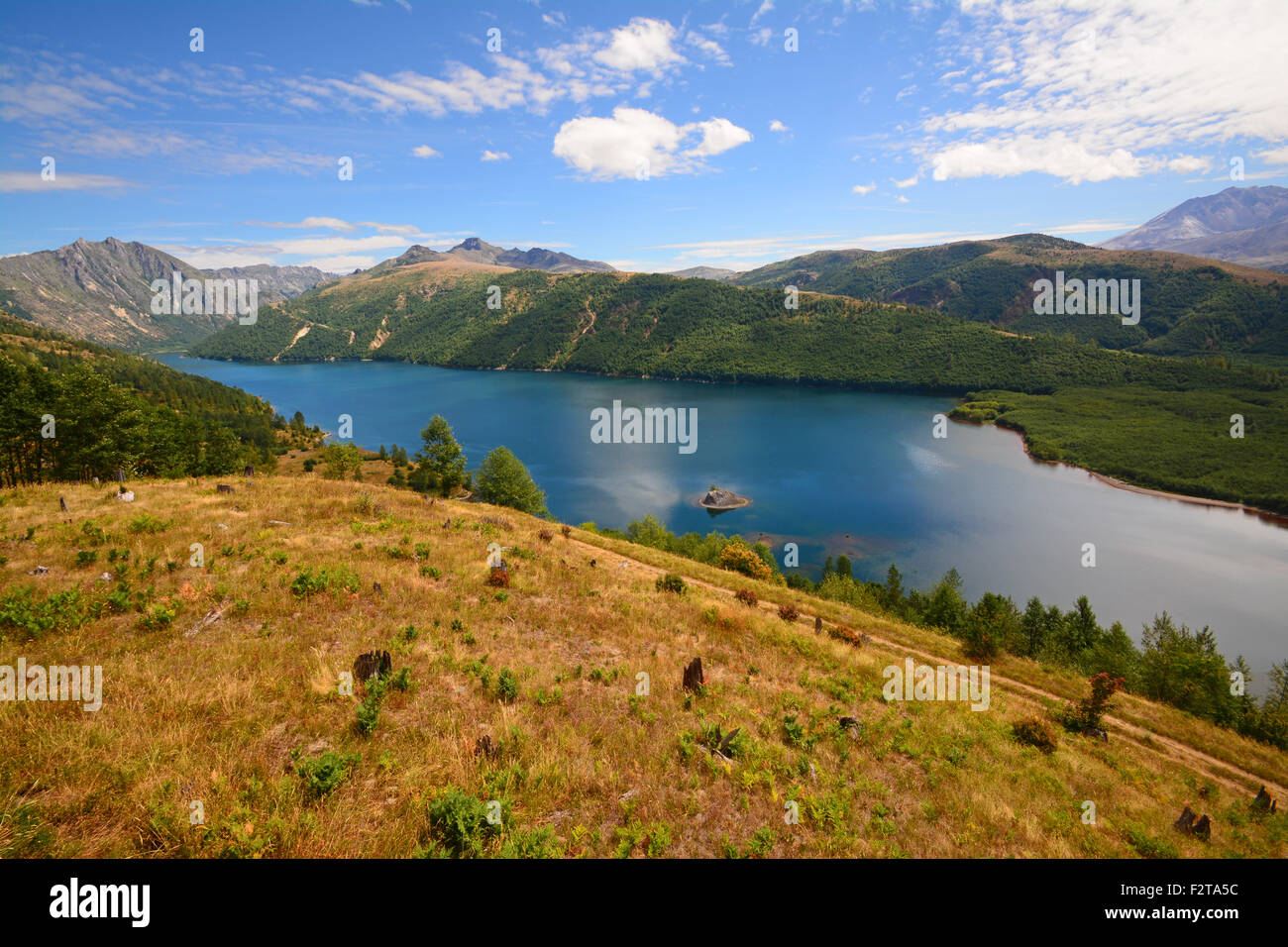 Coldwater Lake in St Helens volcanic monument Stockfoto