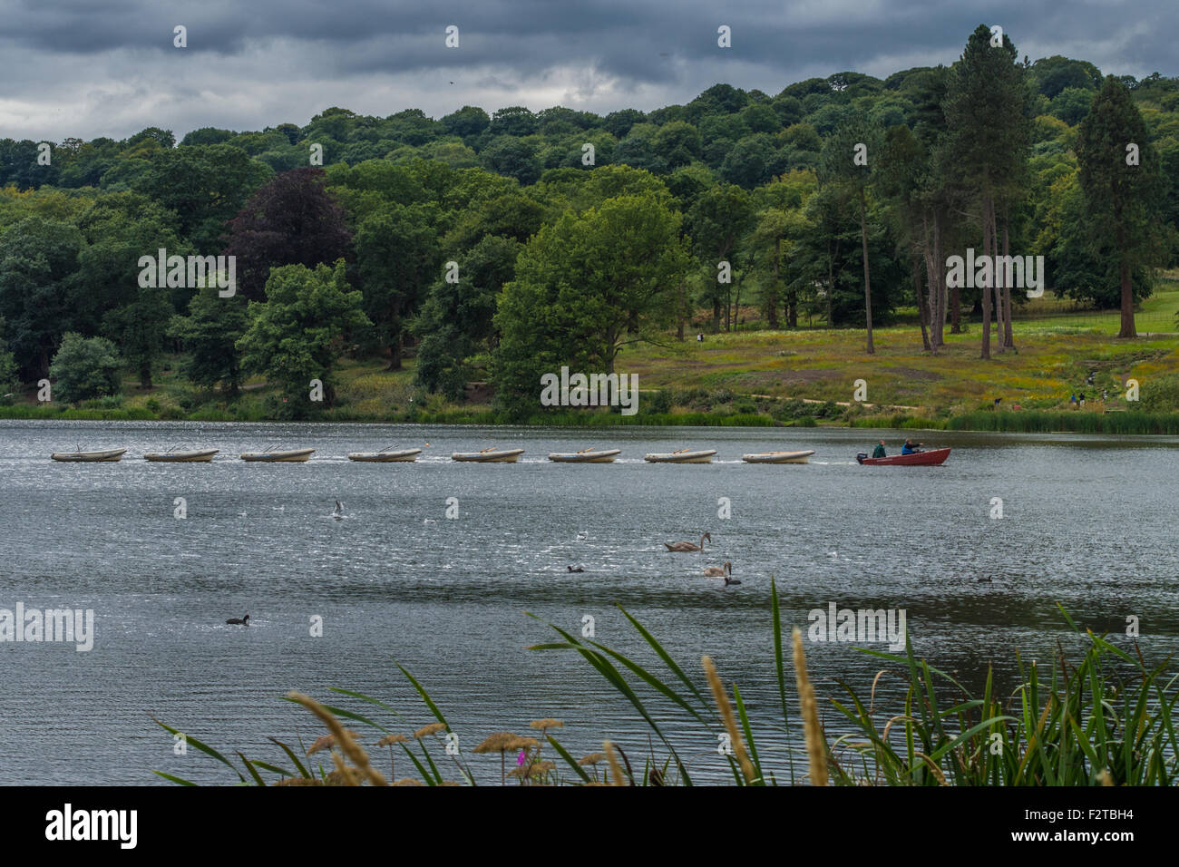 Trentham Gardens, Stoke on Trent, Staffordshire, England. Stockfoto