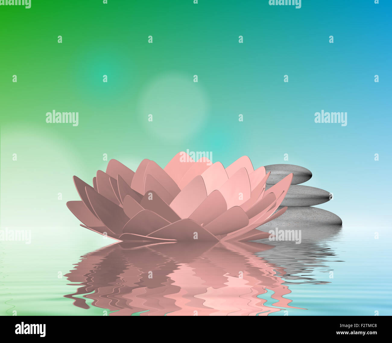 Lotus und Steinen auf dem Wasser Stockfoto