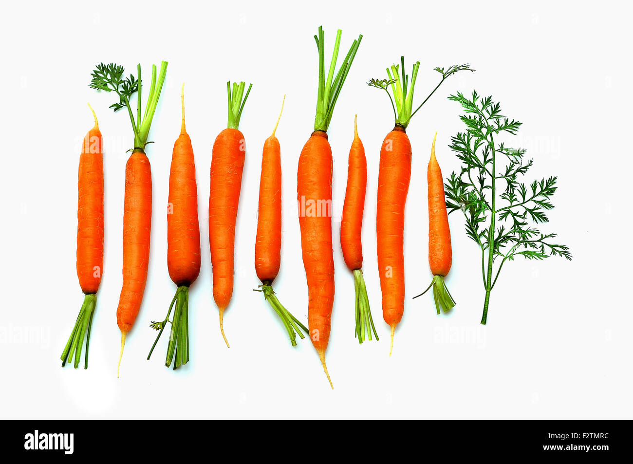 Karotten gegen einen weißen Hintergrund Stockfoto