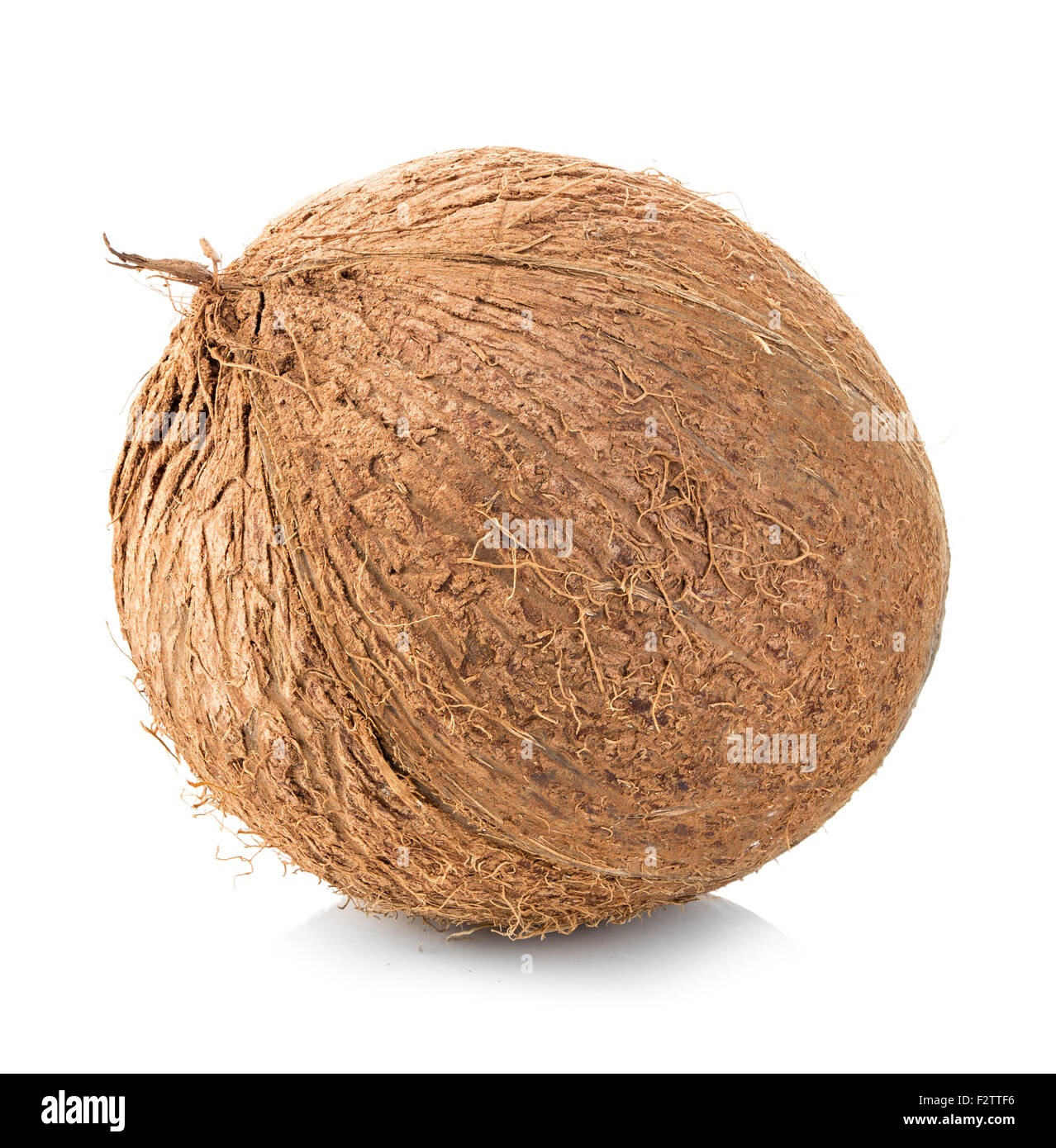Kokosnuss isoliert auf weißem Hintergrund Stockfoto